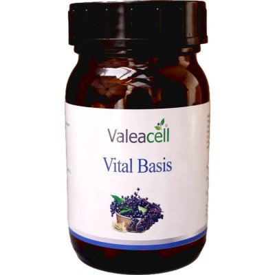 Vital Basis für ein stabiles Immunsystem - 1 Vital Basis für ein stabiles Immunsystem - 1
