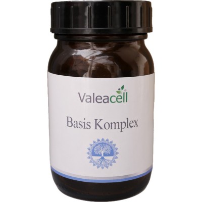 Basis Komplex Basis Komplex