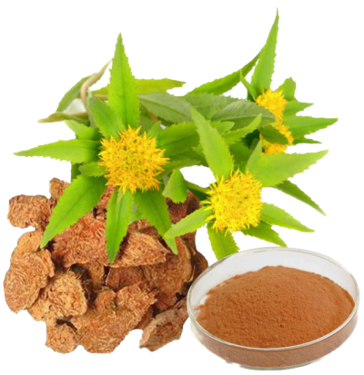 Rhodiola Rosea 90 Kapseln - 1 Rhodiola Rosea 90 Kapseln - 1