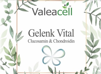 Gelenk Vital - 1 Gelenk Vital - 1