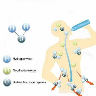 Hydrogen Generator - Wasserstoff Ionisierer 420ML Hydrogen Generator - Wasserstoff Ionisierer 420ML